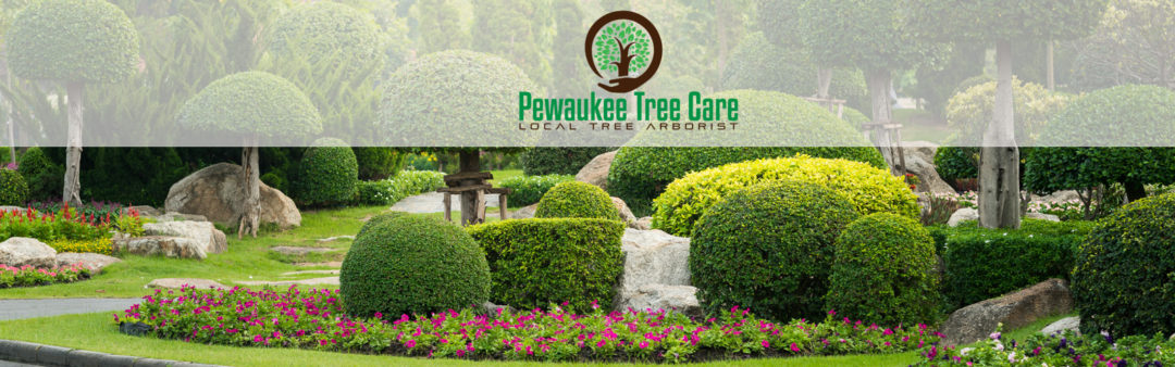 Tree Service