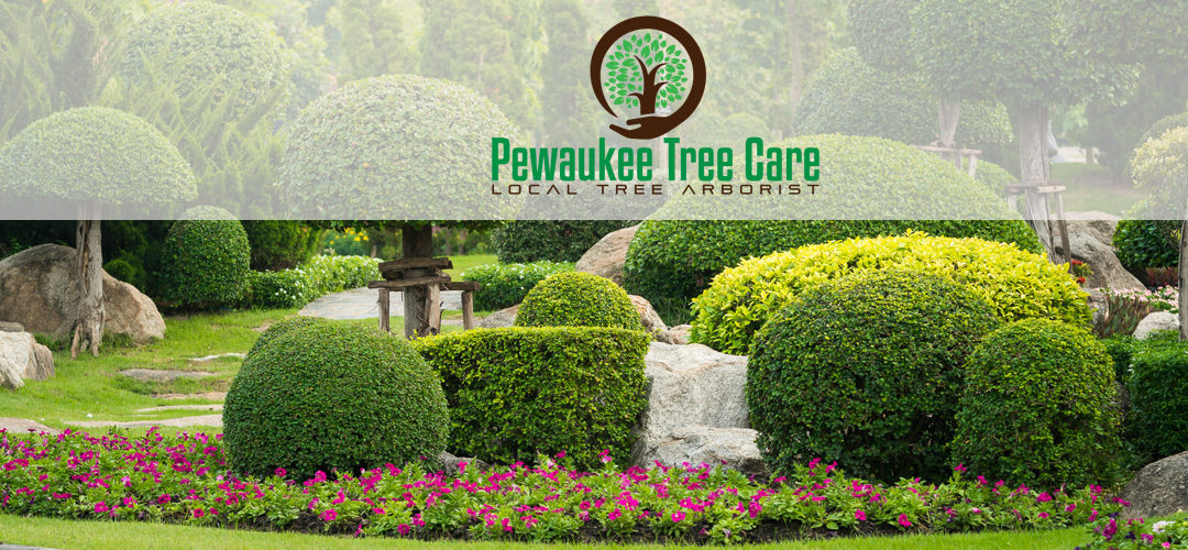 Tree Service