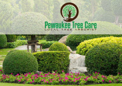 Tree Service